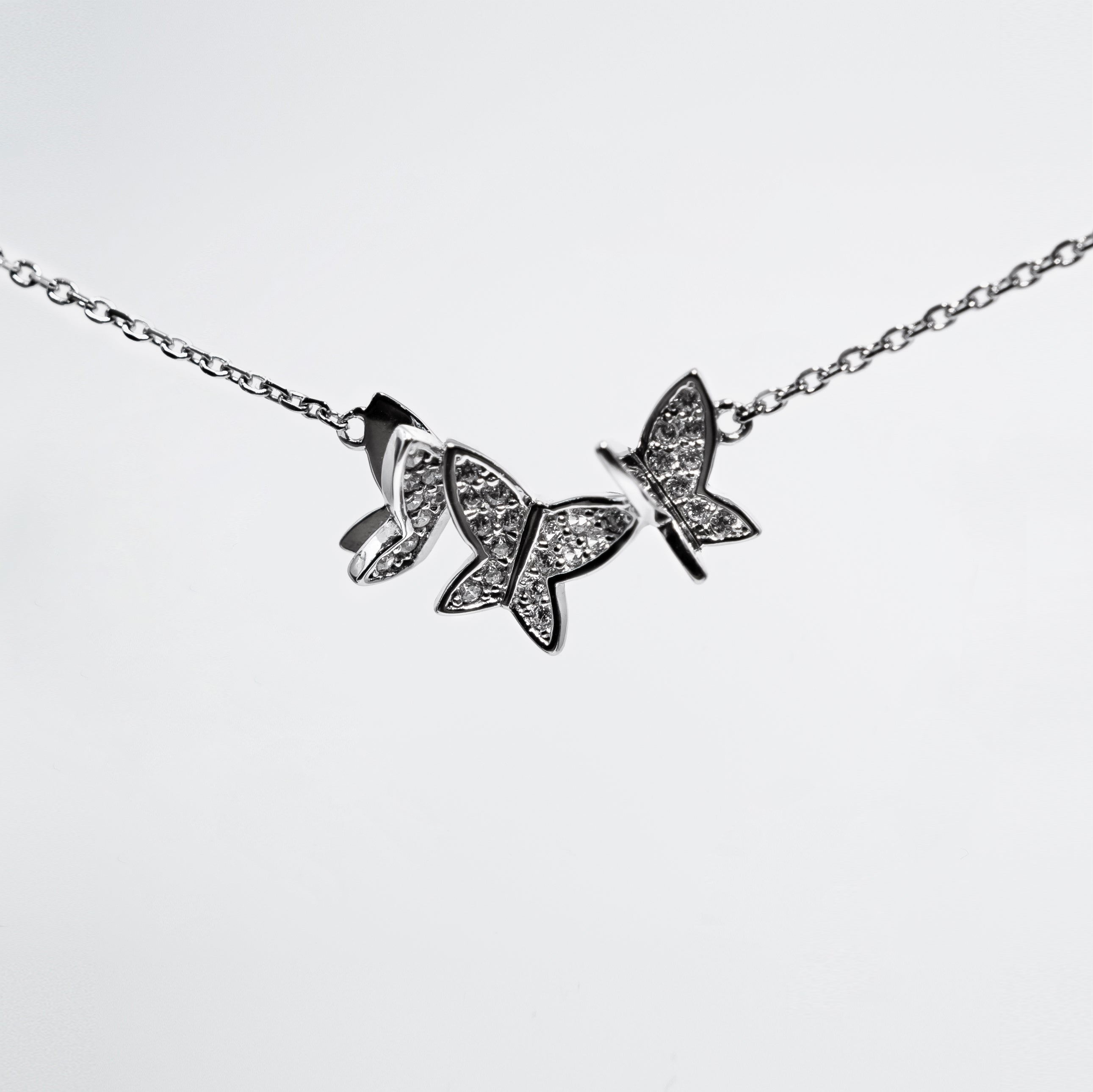 butterflieswingsfront.jpg